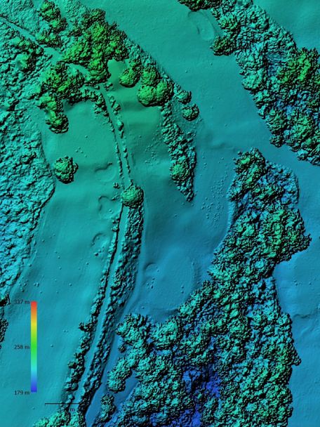 altisense data map