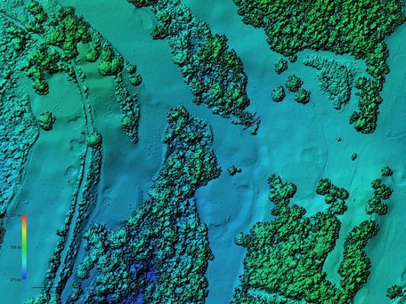 altisense data map